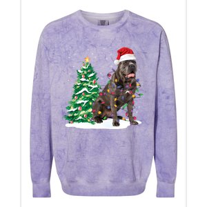 Cane Corso Christmas Tree Lights Santa Dog Xmas Funny Gift Boys Gift Colorblast Crewneck Sweatshirt