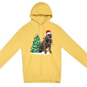 Cane Corso Christmas Tree Lights Santa Dog Xmas Funny Gift Boys Gift Premium Pullover Hoodie