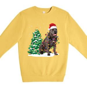 Cane Corso Christmas Tree Lights Santa Dog Xmas Funny Gift Boys Gift Premium Crewneck Sweatshirt