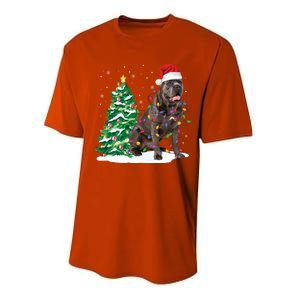 Cane Corso Christmas Tree Lights Santa Dog Xmas Funny Gift Boys Gift Performance Sprint T-Shirt