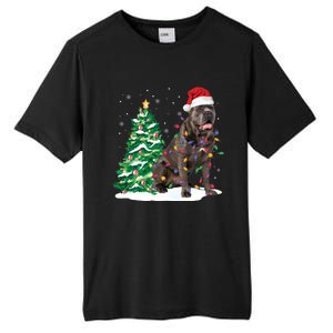 Cane Corso Christmas Tree Lights Santa Dog Xmas Funny Gift Boys Gift Tall Fusion ChromaSoft Performance T-Shirt