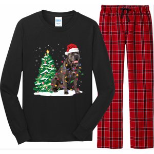 Cane Corso Christmas Tree Lights Santa Dog Xmas Funny Gift Boys Gift Long Sleeve Pajama Set