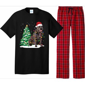 Cane Corso Christmas Tree Lights Santa Dog Xmas Funny Gift Boys Gift Pajama Set