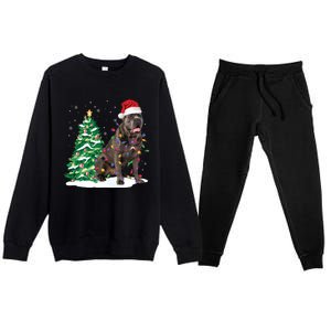 Cane Corso Christmas Tree Lights Santa Dog Xmas Funny Gift Boys Gift Premium Crewneck Sweatsuit Set