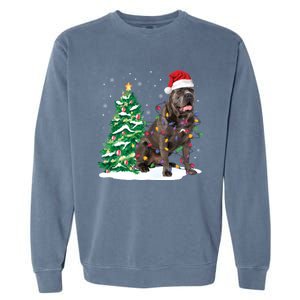 Cane Corso Christmas Tree Lights Santa Dog Xmas Funny Gift Boys Gift Garment-Dyed Sweatshirt