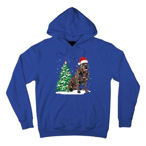 Cane Corso Christmas Tree Lights Santa Dog Xmas Funny Gift Boys Gift Hoodie