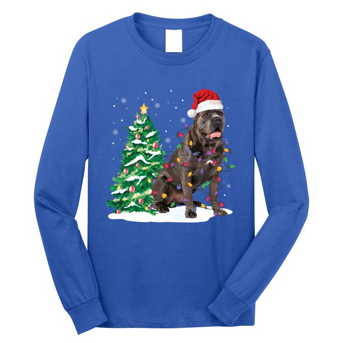 Cane Corso Christmas Tree Lights Santa Dog Xmas Funny Gift Boys Gift Long Sleeve Shirt