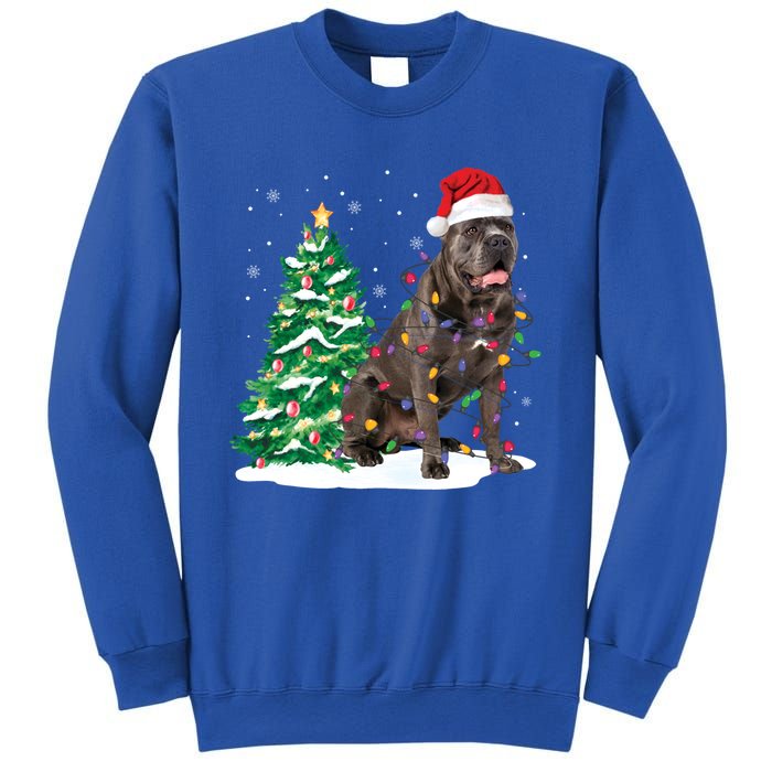 Cane Corso Christmas Tree Lights Santa Dog Xmas Funny Gift Boys Gift Sweatshirt