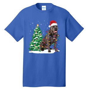 Cane Corso Christmas Tree Lights Santa Dog Xmas Funny Gift Boys Gift Tall T-Shirt