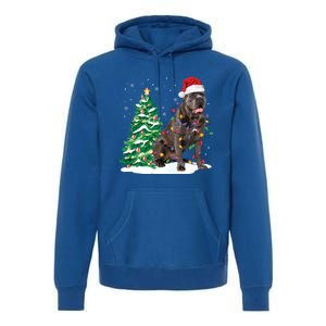 Cane Corso Christmas Tree Lights Santa Dog Xmas Funny Gift Boys Gift Premium Hoodie