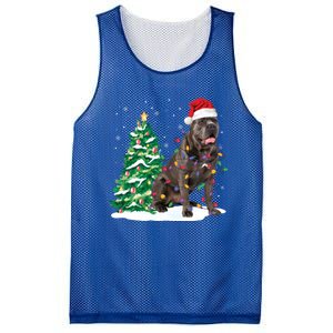 Cane Corso Christmas Tree Lights Santa Dog Xmas Funny Gift Boys Gift Mesh Reversible Basketball Jersey Tank