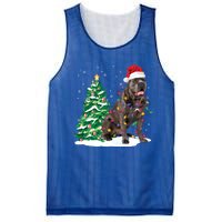 Cane Corso Christmas Tree Lights Santa Dog Xmas Funny Gift Boys Gift Mesh Reversible Basketball Jersey Tank