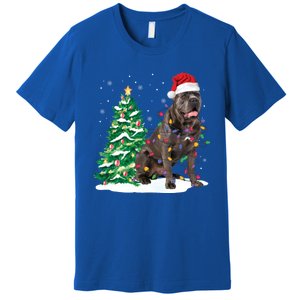 Cane Corso Christmas Tree Lights Santa Dog Xmas Funny Gift Boys Gift Premium T-Shirt