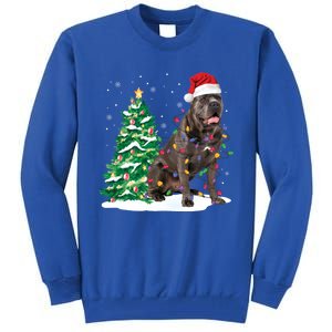 Cane Corso Christmas Tree Lights Santa Dog Xmas Funny Gift Boys Gift Tall Sweatshirt