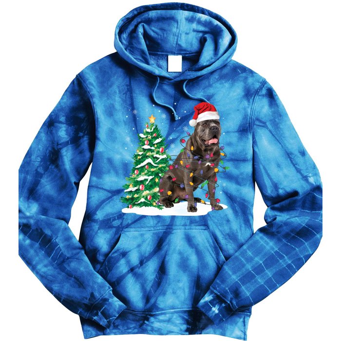 Cane Corso Christmas Tree Lights Santa Dog Xmas Funny Gift Boys Gift Tie Dye Hoodie