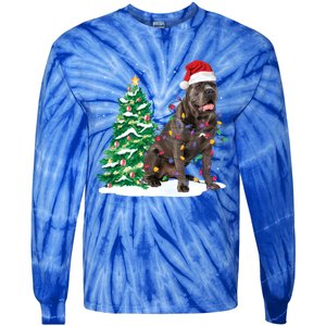 Cane Corso Christmas Tree Lights Santa Dog Xmas Funny Gift Boys Gift Tie-Dye Long Sleeve Shirt