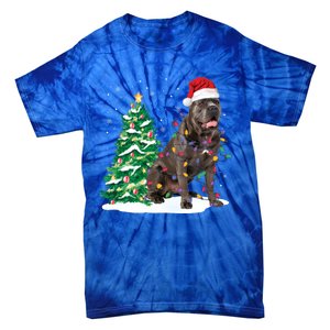 Cane Corso Christmas Tree Lights Santa Dog Xmas Funny Gift Boys Gift Tie-Dye T-Shirt