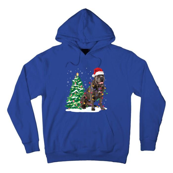 Cane Corso Christmas Tree Lights Santa Dog Xmas Funny Gift Boys Gift Tall Hoodie