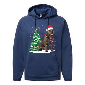 Cane Corso Christmas Tree Lights Santa Dog Xmas Funny Gift Boys Gift Performance Fleece Hoodie