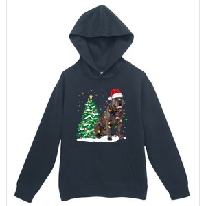 Cane Corso Christmas Tree Lights Santa Dog Xmas Funny Gift Boys Gift Urban Pullover Hoodie