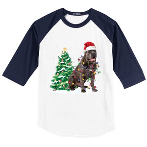 Cane Corso Christmas Tree Lights Santa Dog Xmas Funny Gift Boys Gift Baseball Sleeve Shirt