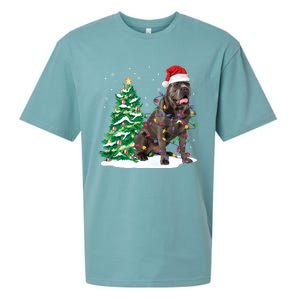 Cane Corso Christmas Tree Lights Santa Dog Xmas Funny Gift Boys Gift Sueded Cloud Jersey T-Shirt