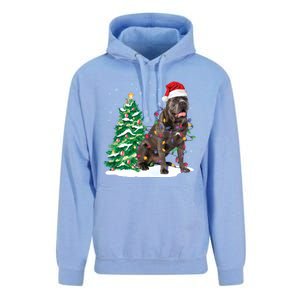 Cane Corso Christmas Tree Lights Santa Dog Xmas Funny Gift Boys Gift Unisex Surf Hoodie