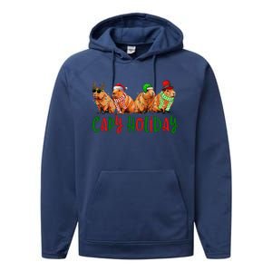 Capybara Christmas Capy Holiday New Years Cute Christmas Performance Fleece Hoodie