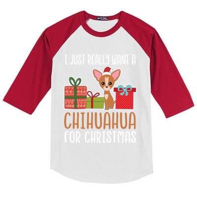 Cute Christmas Chihuahua Owner I Want A Chihuahua Gift Kids Colorblock Raglan Jersey