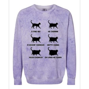 Chonk Cat Chart Colorblast Crewneck Sweatshirt