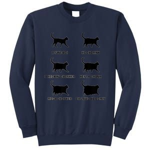 Chonk Cat Chart Sweatshirt