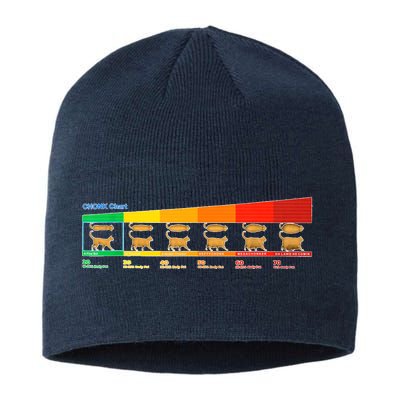 Chonk Chart Cat Sustainable Beanie