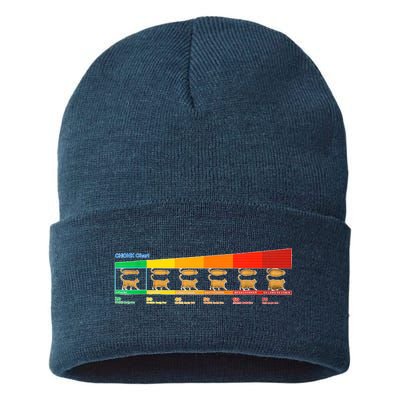 Chonk Chart Cat Sustainable Knit Beanie