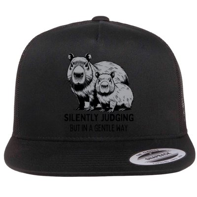 Cat Chaos Flatbill Hat