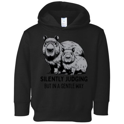 Cat Chaos Toddler Hoodie