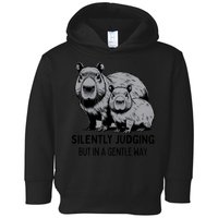 Cat Chaos Toddler Hoodie