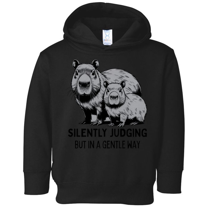 Cat Chaos Toddler Hoodie