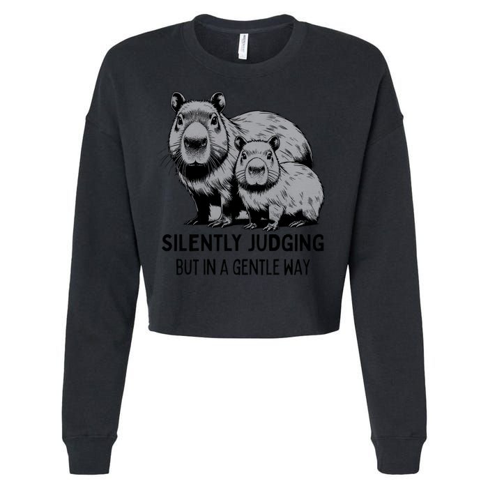 Cat Chaos Cropped Pullover Crew