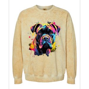 Cute Cane Corso Dog On Painted Cane Corso Colorblast Crewneck Sweatshirt