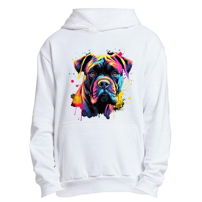 Cute Cane Corso Dog On Painted Cane Corso Urban Pullover Hoodie