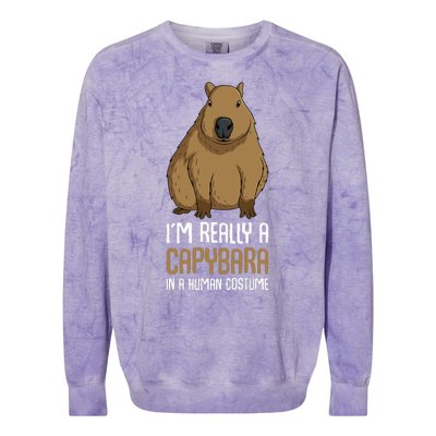 Capybara Costume Colorblast Crewneck Sweatshirt