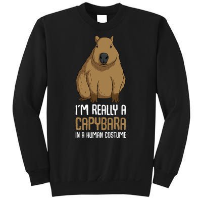 Capybara Costume Sweatshirt