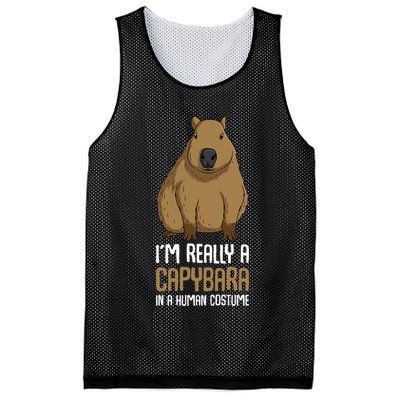 Capybara Costume Mesh Reversible Basketball Jersey Tank