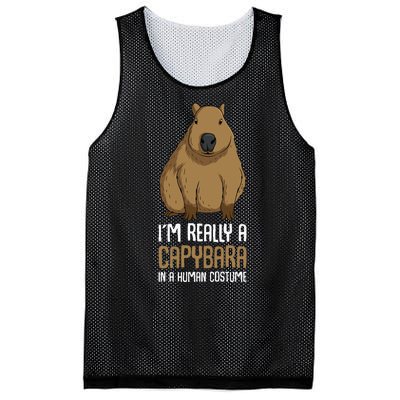 Capybara Costume Mesh Reversible Basketball Jersey Tank