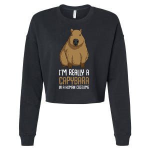 Capybara Costume Cropped Pullover Crew