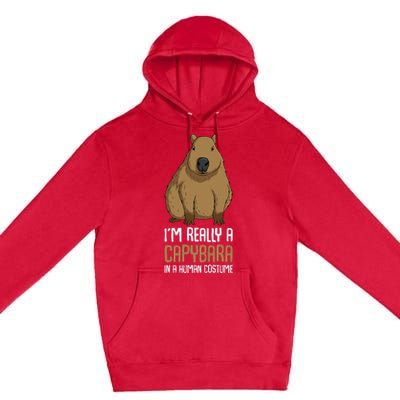 Capybara Costume Premium Pullover Hoodie