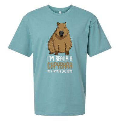 Capybara Costume Sueded Cloud Jersey T-Shirt