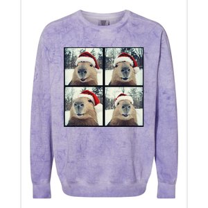 Capybara Christmas Colorblast Crewneck Sweatshirt