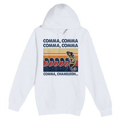 Comma Comma Chameleon Funny Grammar English Teacher Premium Pullover Hoodie