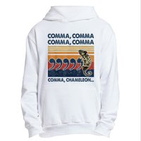 Comma Comma Chameleon Funny Grammar English Teacher Urban Pullover Hoodie